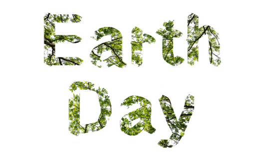 La Journée de la Terre : Comment nous contribuons à la protection de l'environnement