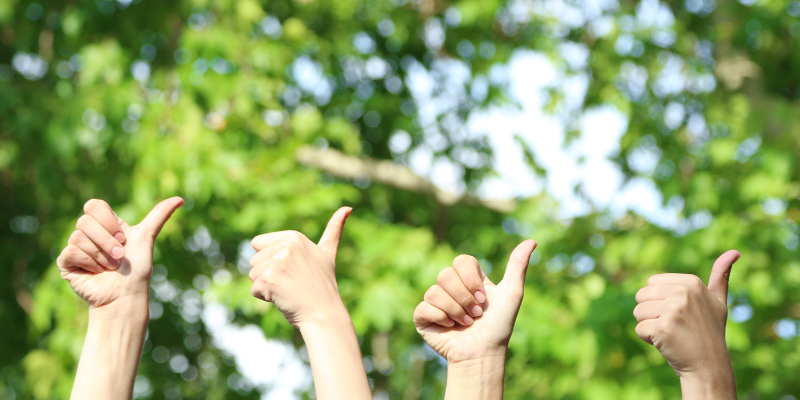 5 conseils naturels pour réussir ses examens de fin année