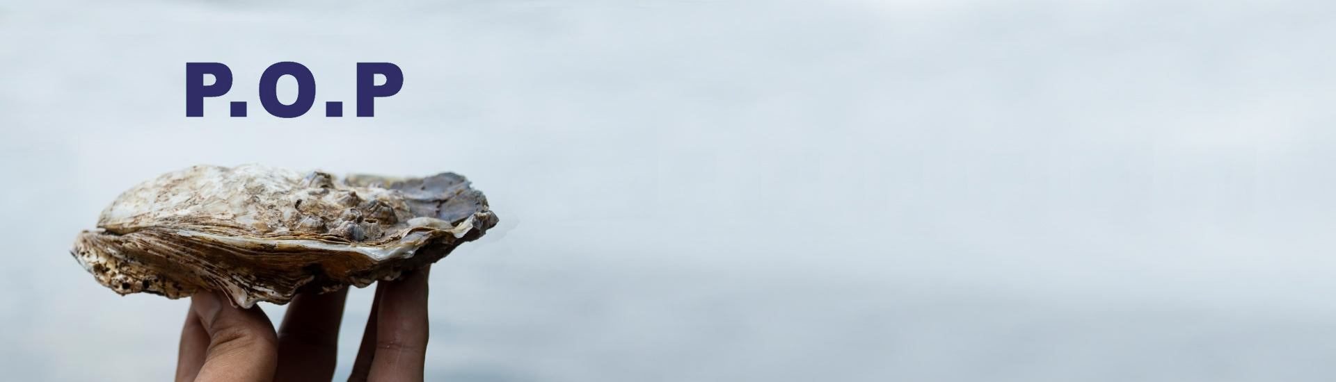 P.O.P
