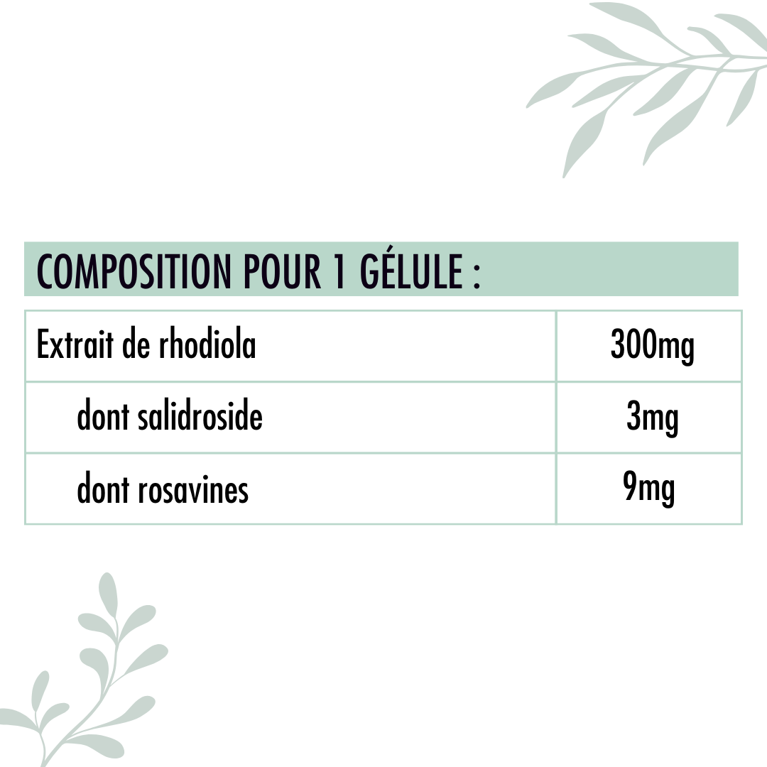 Rhodiola
