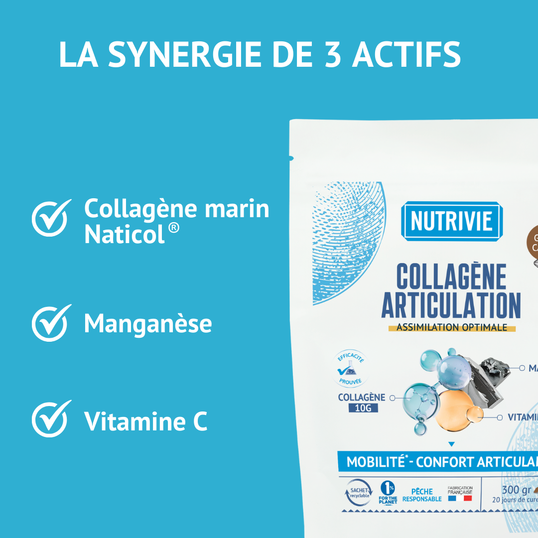 Collagène Articulation