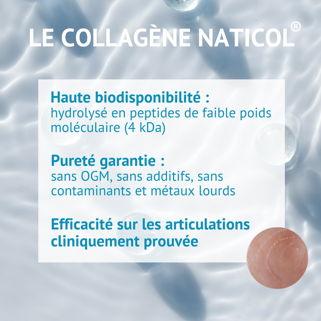 Collagène Articulation