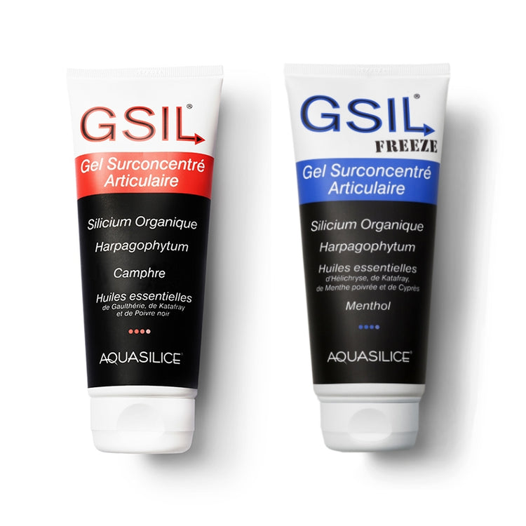 Pack GSIL Articulations et muscles