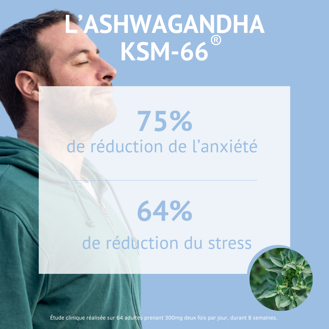 Efficacité de l'Ashwagandha Bio Nutrivie