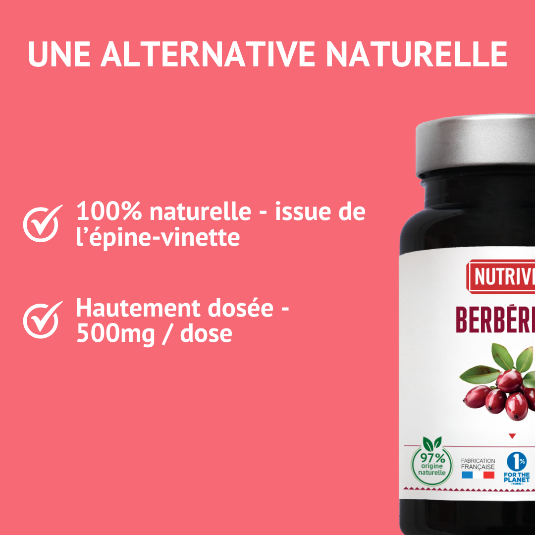Berbérine - Épine vinette