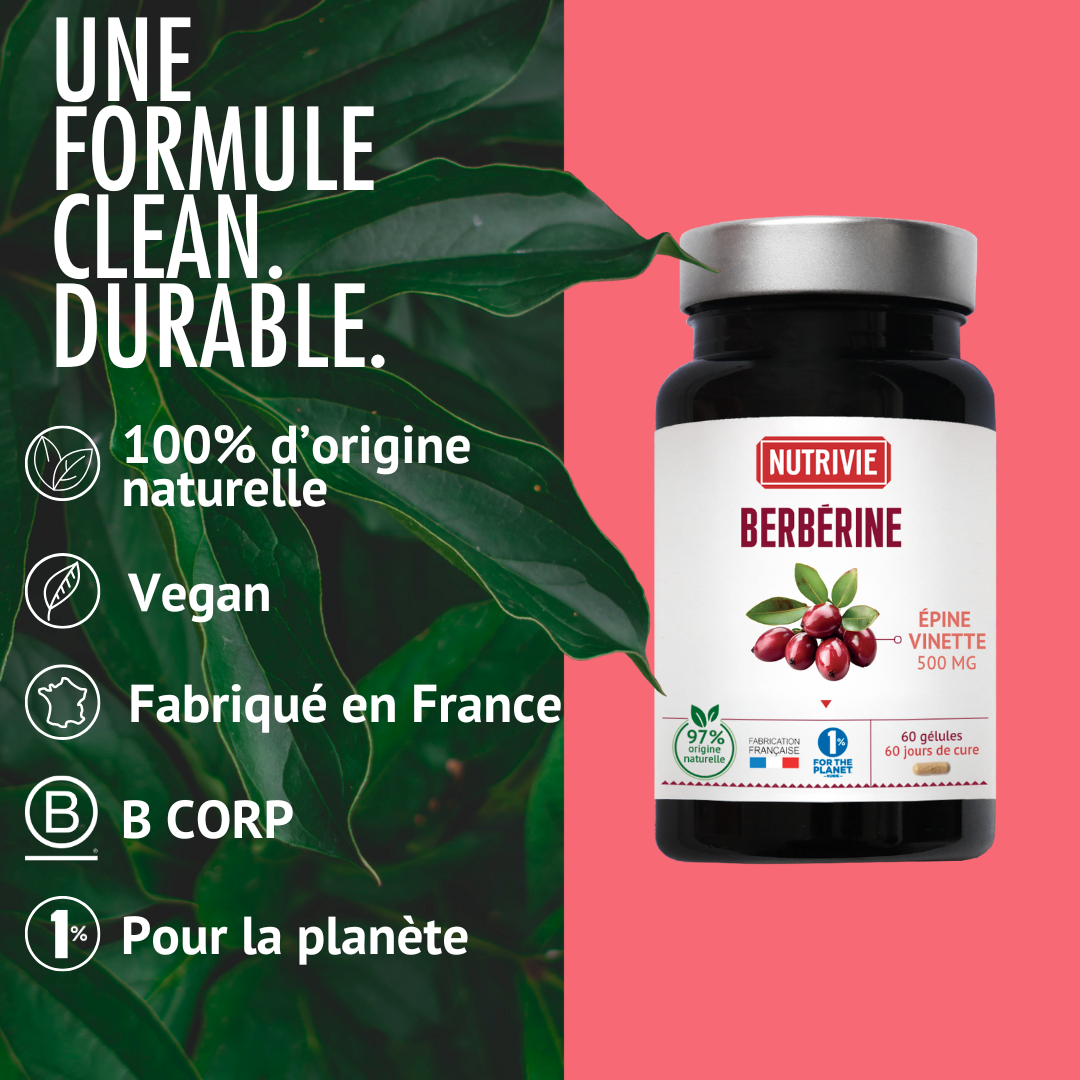 Berbérine - Épine vinette
