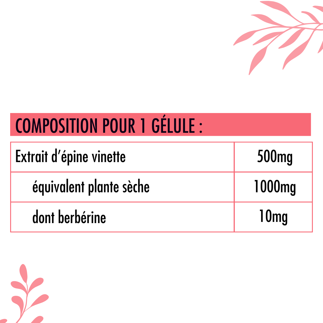 Berbérine - Épine vinette