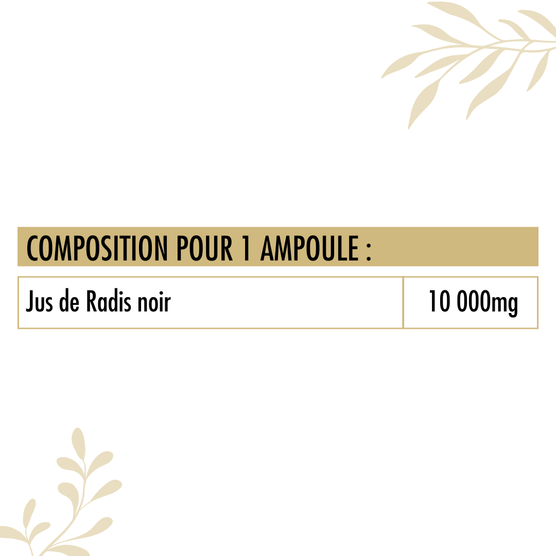 Valeurs nutritionnelles du radis Noir Bio Nutrivie