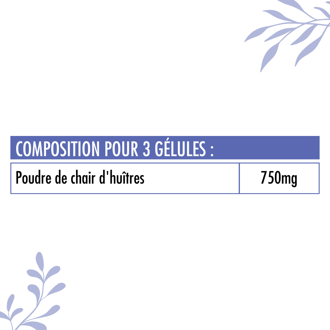 POP (40 gélules)