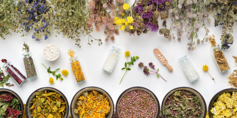 Défenses naturelles, notre top des plantes et actifs pour l’hiver