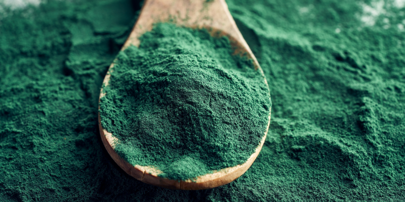 Tout savoir sur la Spiruline !