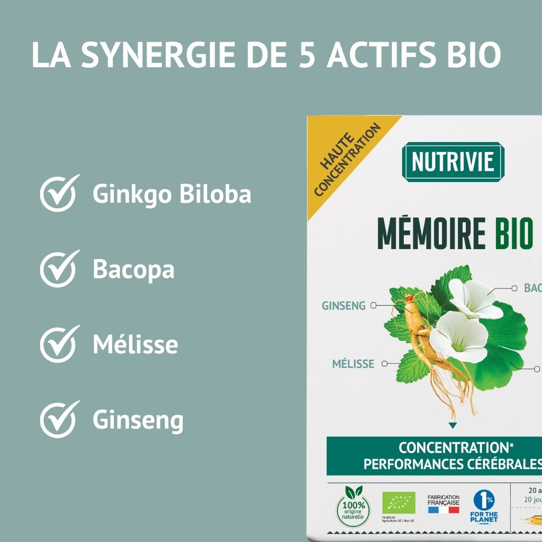 Duo Mémoire & Concentration