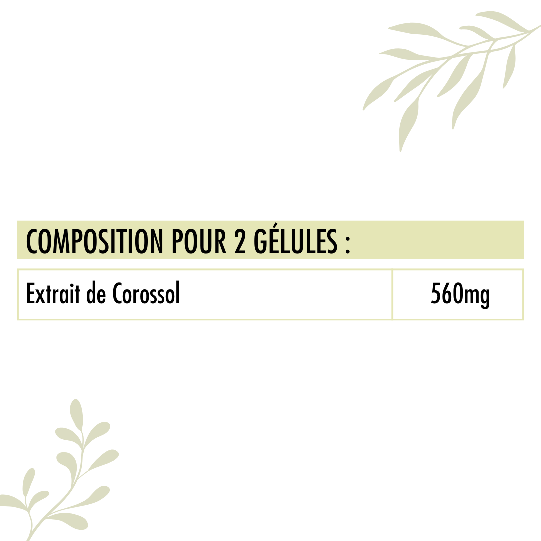 Corossol Graviola 560 mg