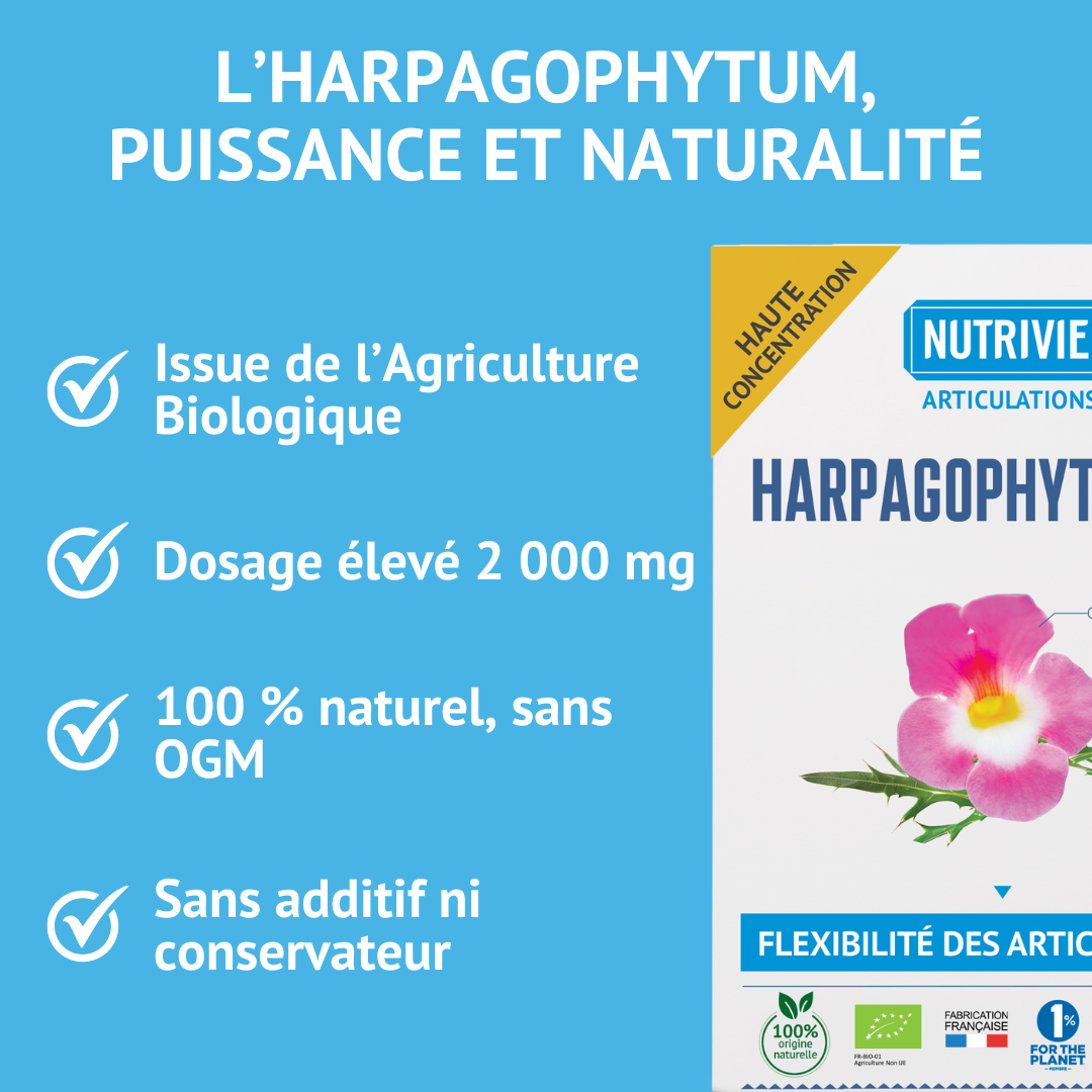 Harpagophytum Bio 2000mg