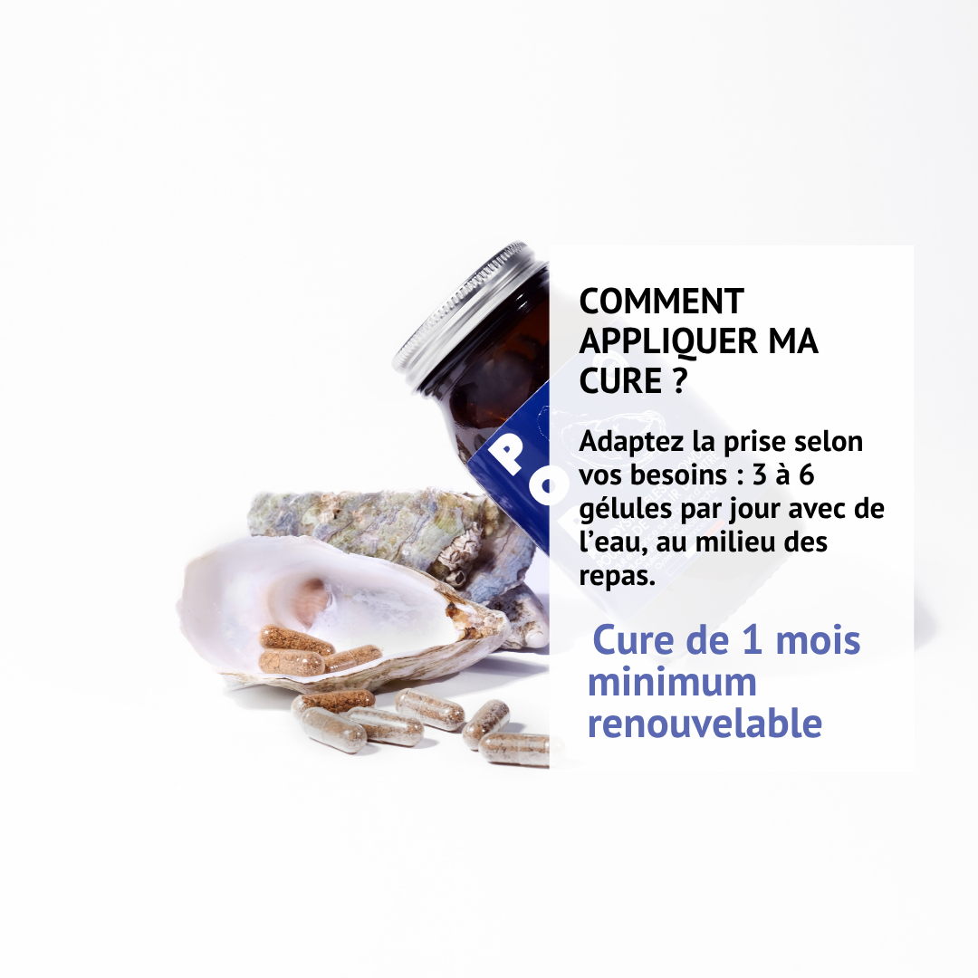 Posologie et cure du POP 150 gélules