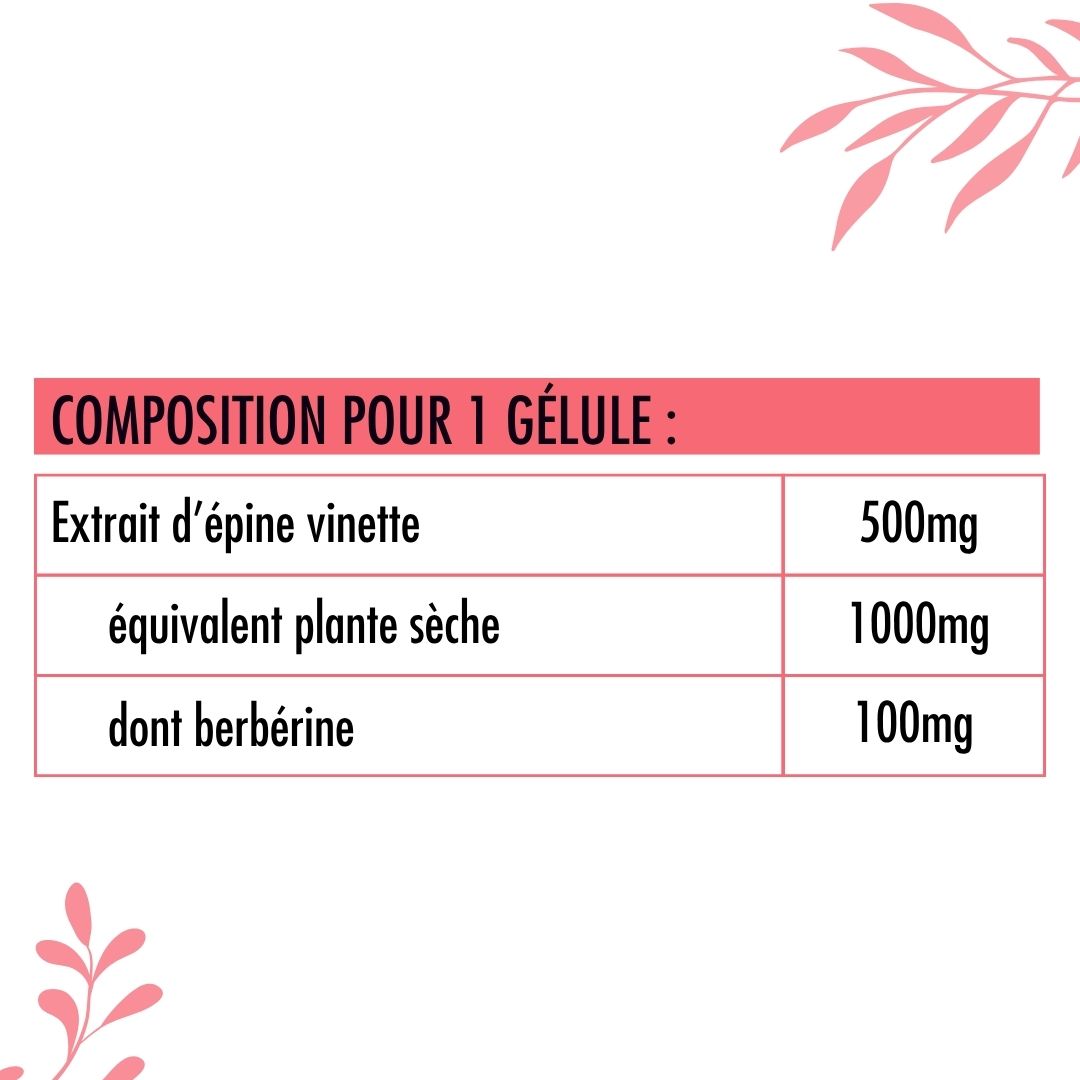 Berberine - Barberry
