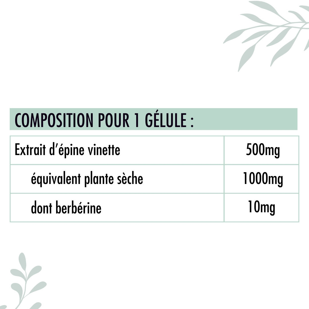 Valeurs nutritionnelles de la Berbérine Nutrivie
