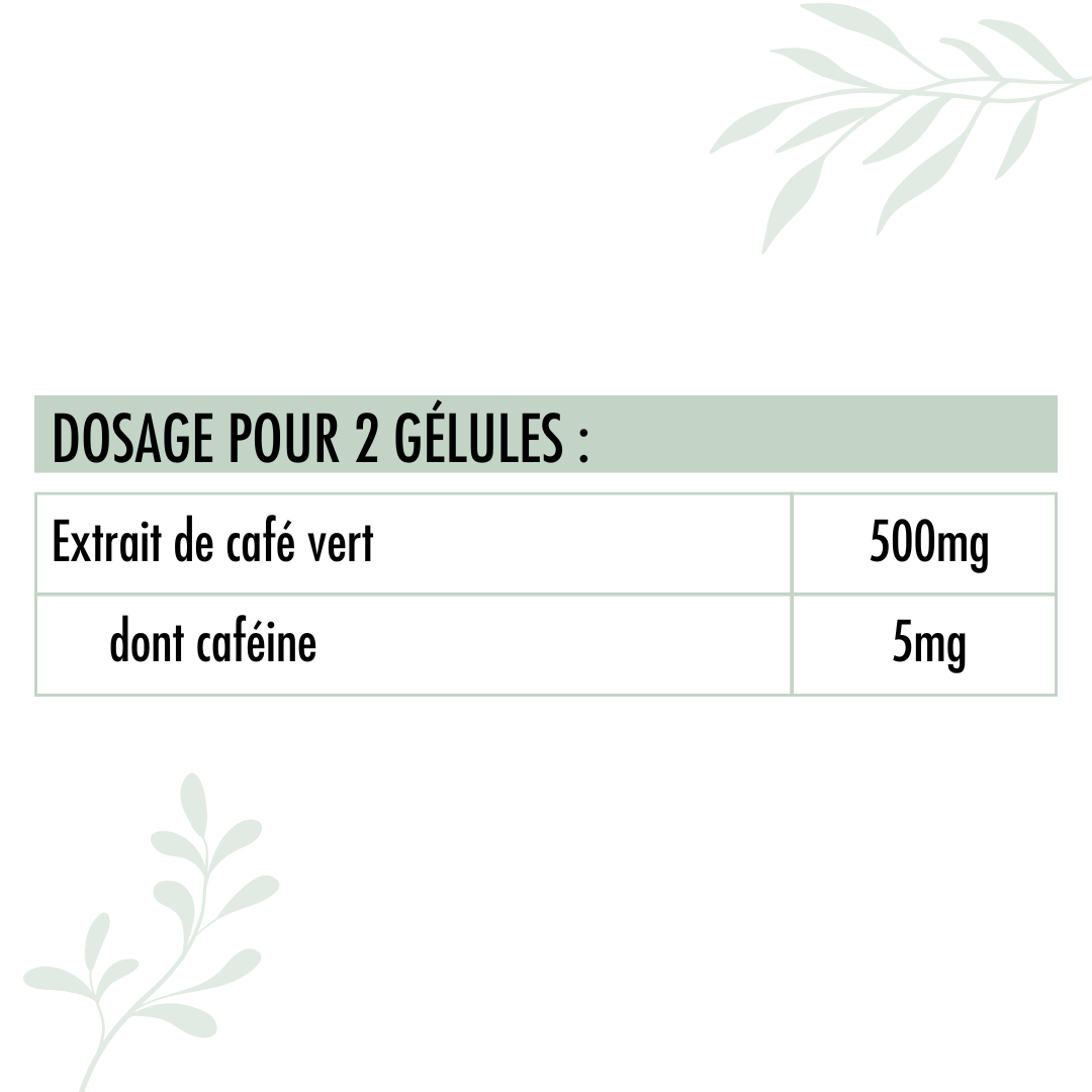 Valeurs nutritionnelles du Café vert bio Nutrivie 