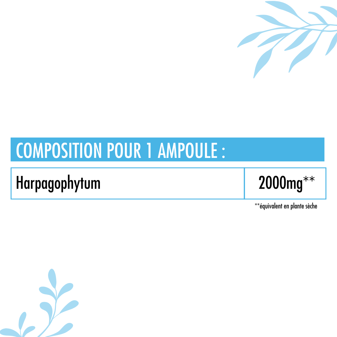 Harpagophytum Bio 2000mg
