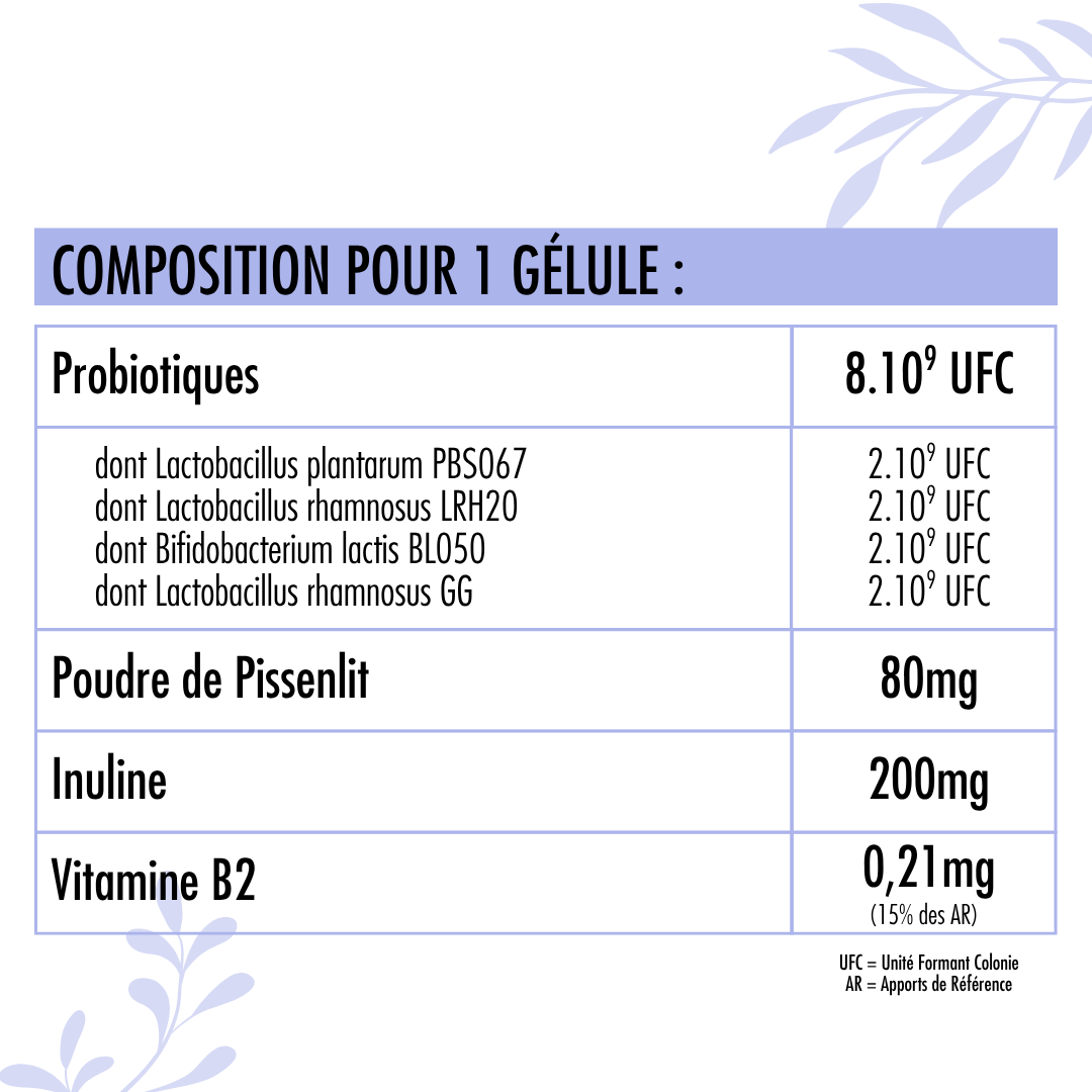 Nutribiotique® Équilibre Digestif