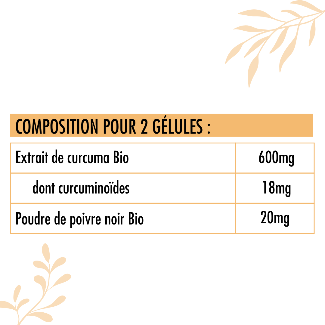 Valeurs nutritionnelles du du curcuma Bio Nutrivie