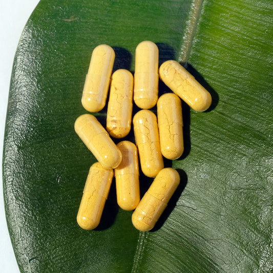 Curcuma BIO - 60 gélules