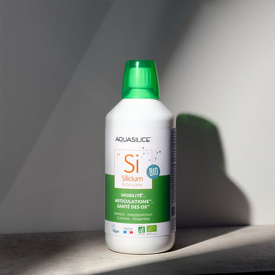 Silicium Articulaire BIO - 1L